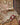 Rugs & Lighting