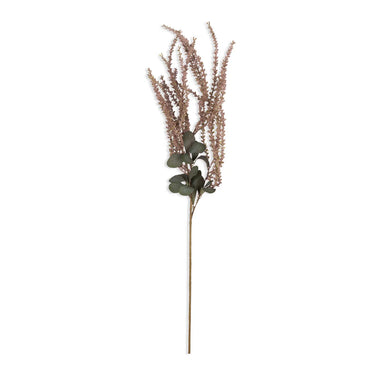 Faux Blush Amaranthus