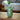 Tall Blossom Vase