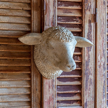 Decorative Weathered Stone Animal Trophy