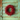 Red Pepper Berry Wreath 12"
