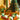 Fir Tree Honeycomb